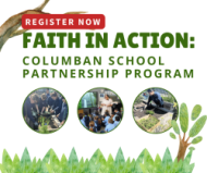 partnership program