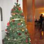 Christmas celebrated at the Pakistan Embassy in Rome