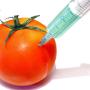 Religious concern over genetically engineered (GE) Food
