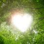 Finding life and love here and now and in the future