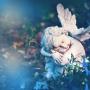 Trusting in our Guardian Angels