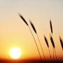Dying leads to rising to true life
